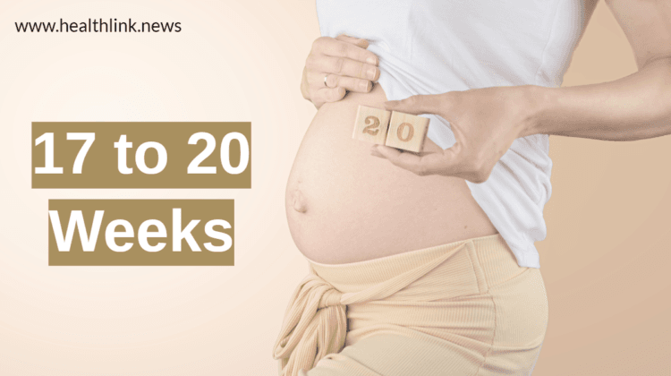 Ultimate Guide for 17 to 20 Weeks Pregnant