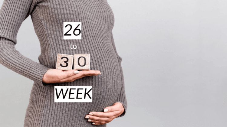 Your Ultimate Guide For 26th to 30th Weeks of Pregnancy