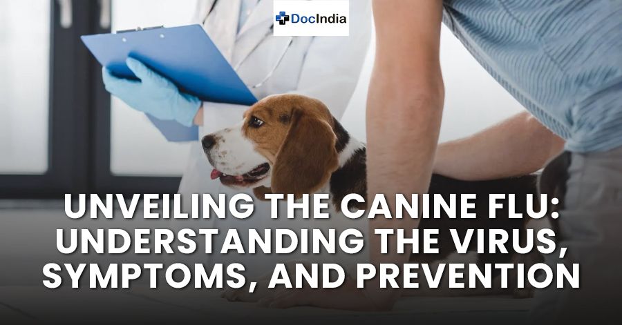 Unveiling the Canine Flu: Understanding the Virus, Symptoms, and Prevention