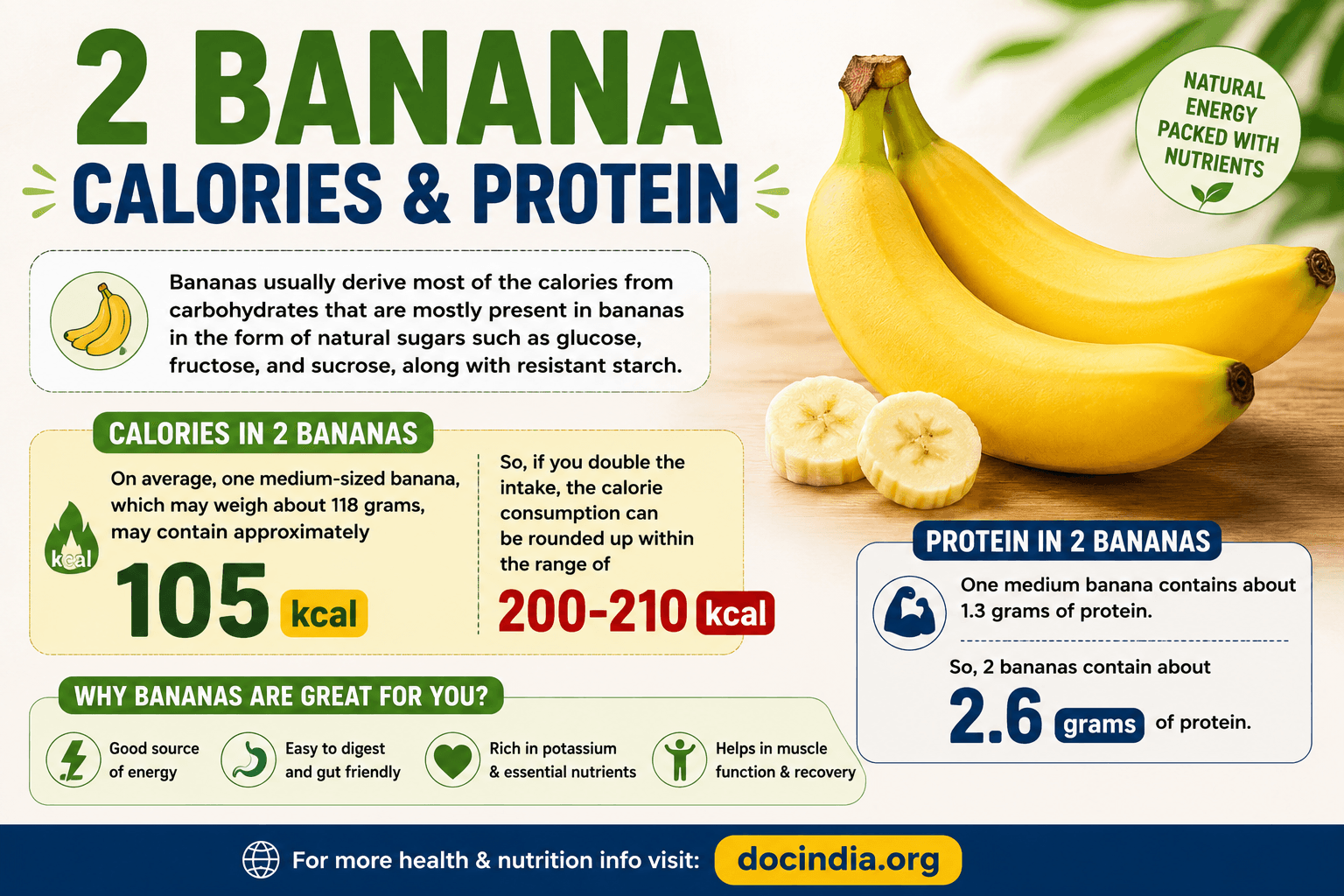 2 Banana Calories and Protein