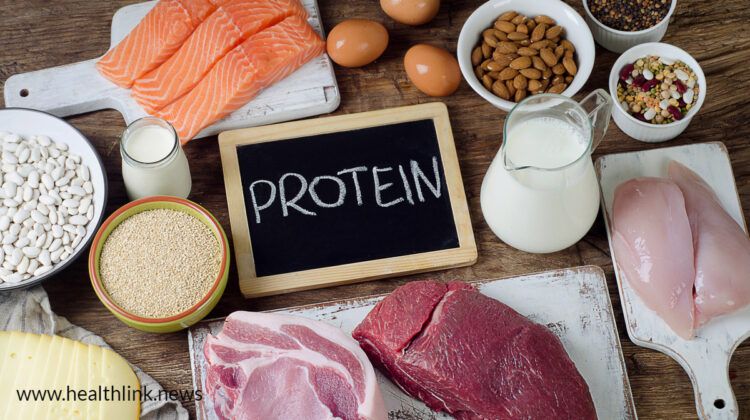 Top 16 Protein-Rich Foods You Can Eat Every Day