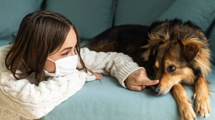 Canine Influenza: How Does the Virus Spread Fast in Dogs?