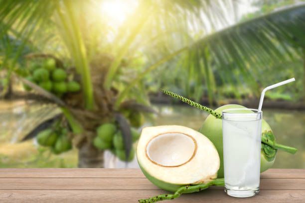 Coconut Water Juice Benefits and Side Effects - DocIndia.org