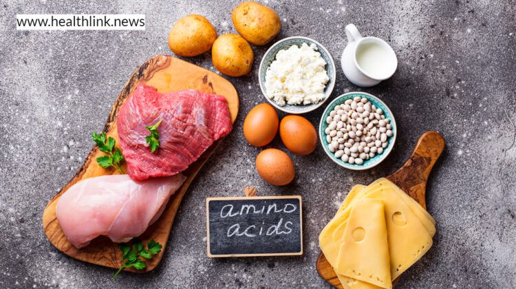 Top 7 Foods Rich in Amino Acids