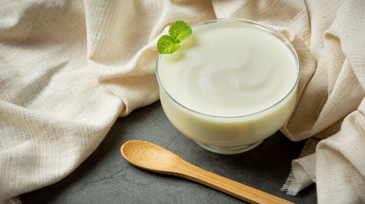 How is Yogurt Manufactured and What are its Benefits?