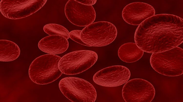 How to Increase Hemoglobin Levels Without Any Medicine?