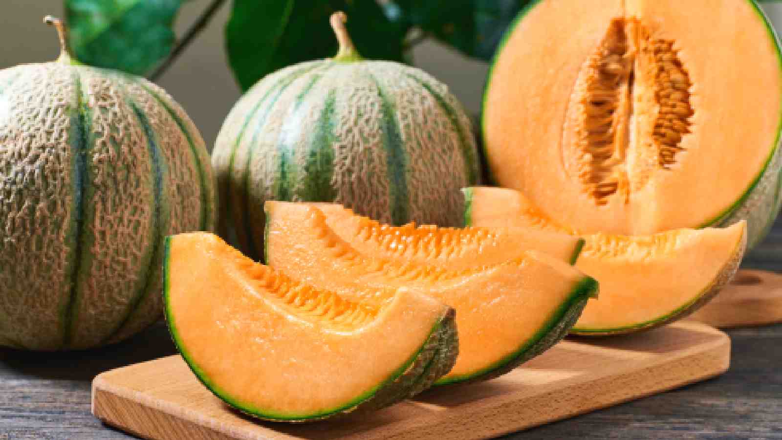 Muskmelon seeds: Benefits & Uses – Docindia.org