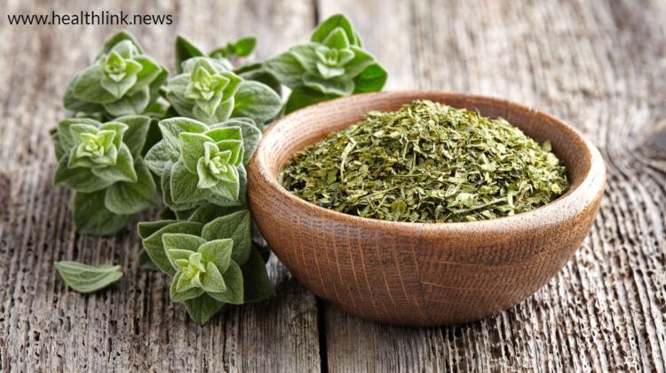 How is Oregano Good For You? Know More