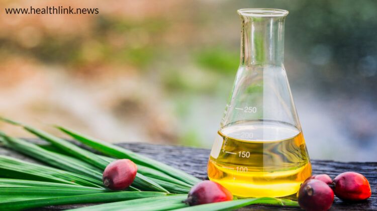 Palm Oil: How Does it Affect Your Brain Health?