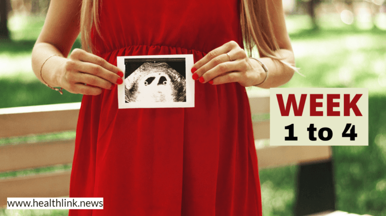 What Happens During the First 4 Weeks of Your Pregnancy?