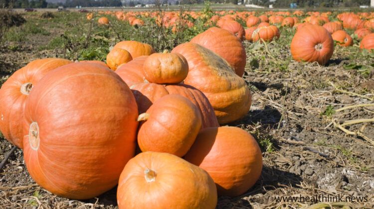 Pumpkin: Include Your Halloween Pumpkin in Your Diet