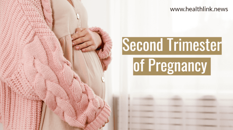 What Happens in Your Second Trimester of Pregnancy?