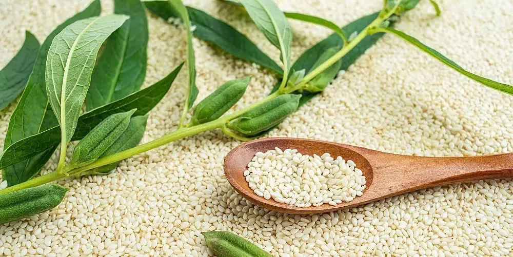 Sesame Seeds Benefits: Nutrition, Health Uses & Recipes