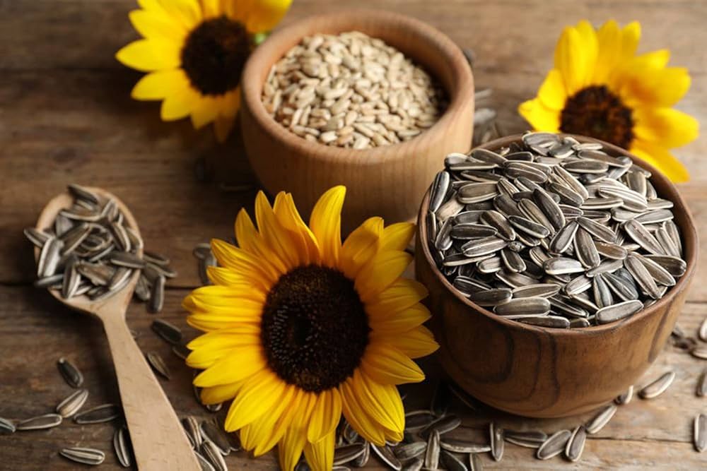 Sunflower seeds Benefits and Side Effects - Docindia.org