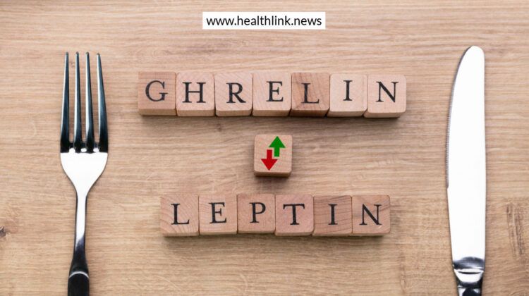 The Relationship Between Leptin And Ghrelin