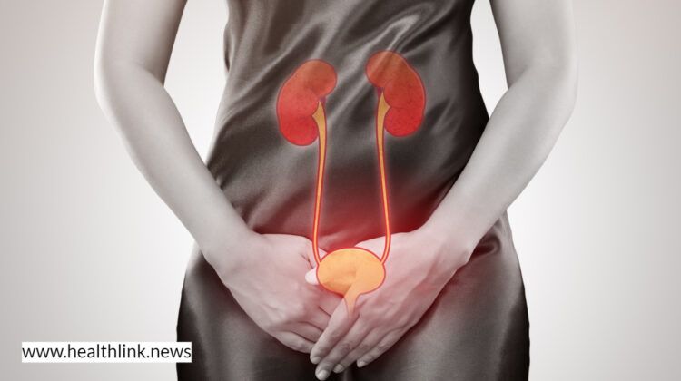 Urinary Tract Infection: Main Causes and its Risk Factors