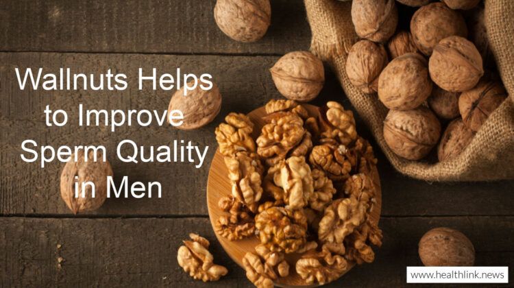 Walnuts: Help to Improve Sperm Quality in Healthy Men