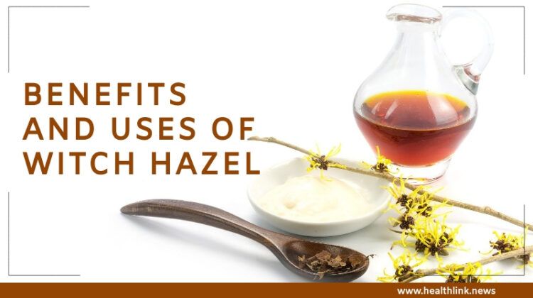 Witch Hazel – Overview, Uses, and Benefits