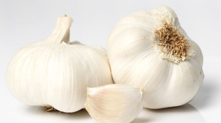 Wonderful Health Benefits of Eating Garlic