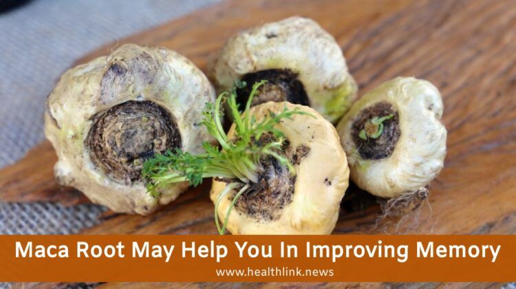 Nutritional Value and Health Benefits Of Maca Root