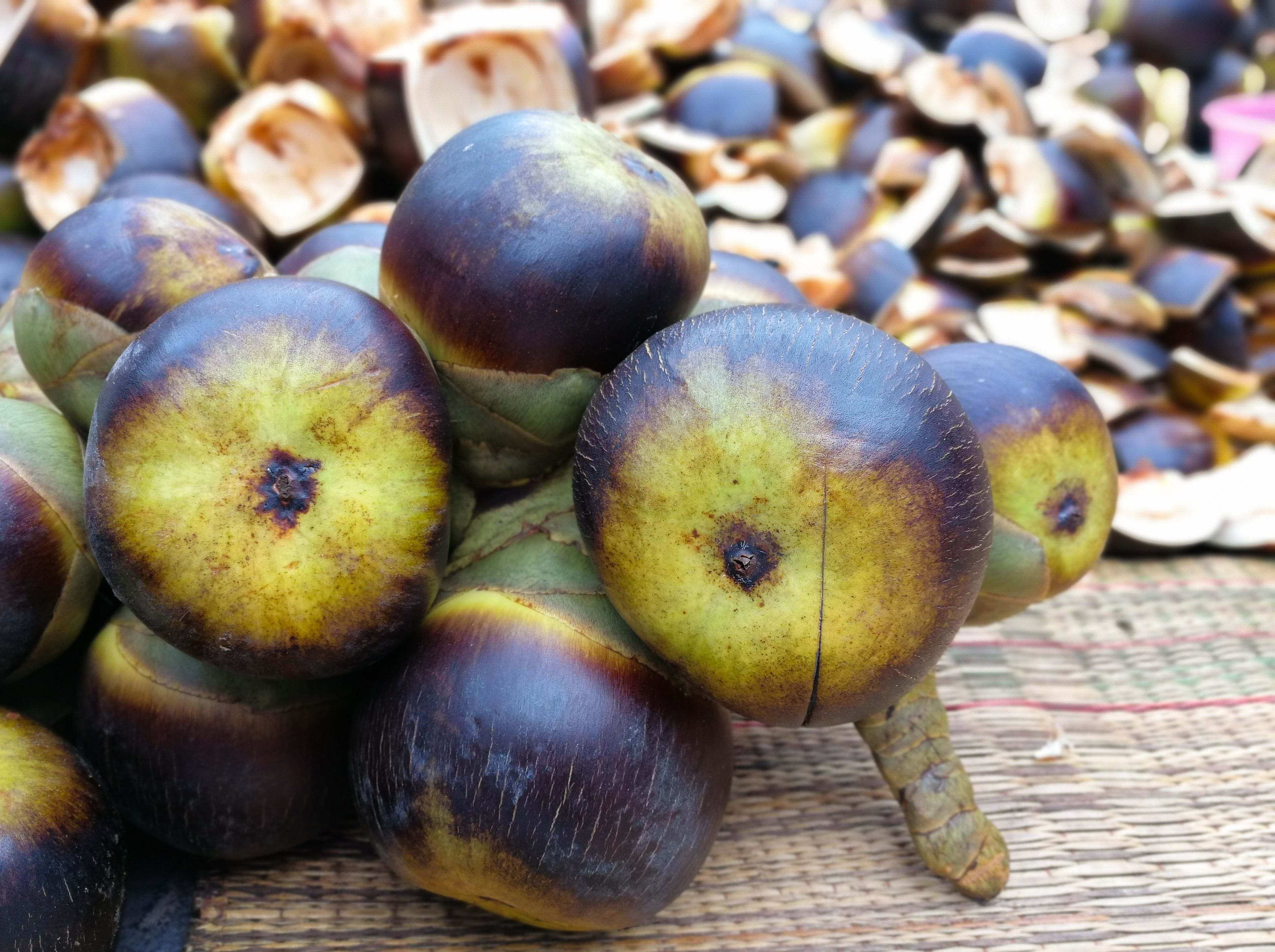 Health Benefits of Palmyra Fruit - Docindia.org