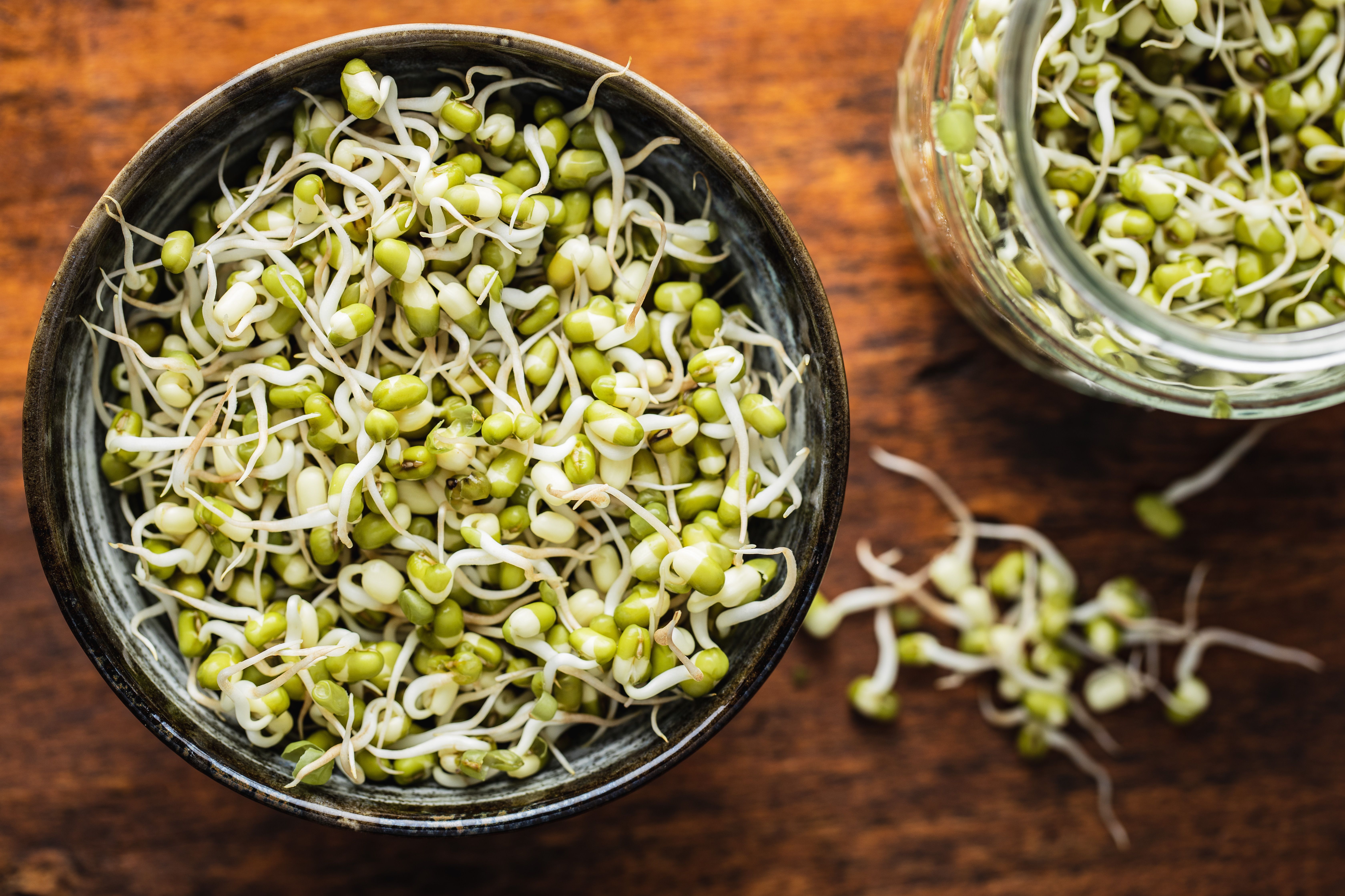 Calories in Sprouts - Nutritional Information & Healthy Benefits