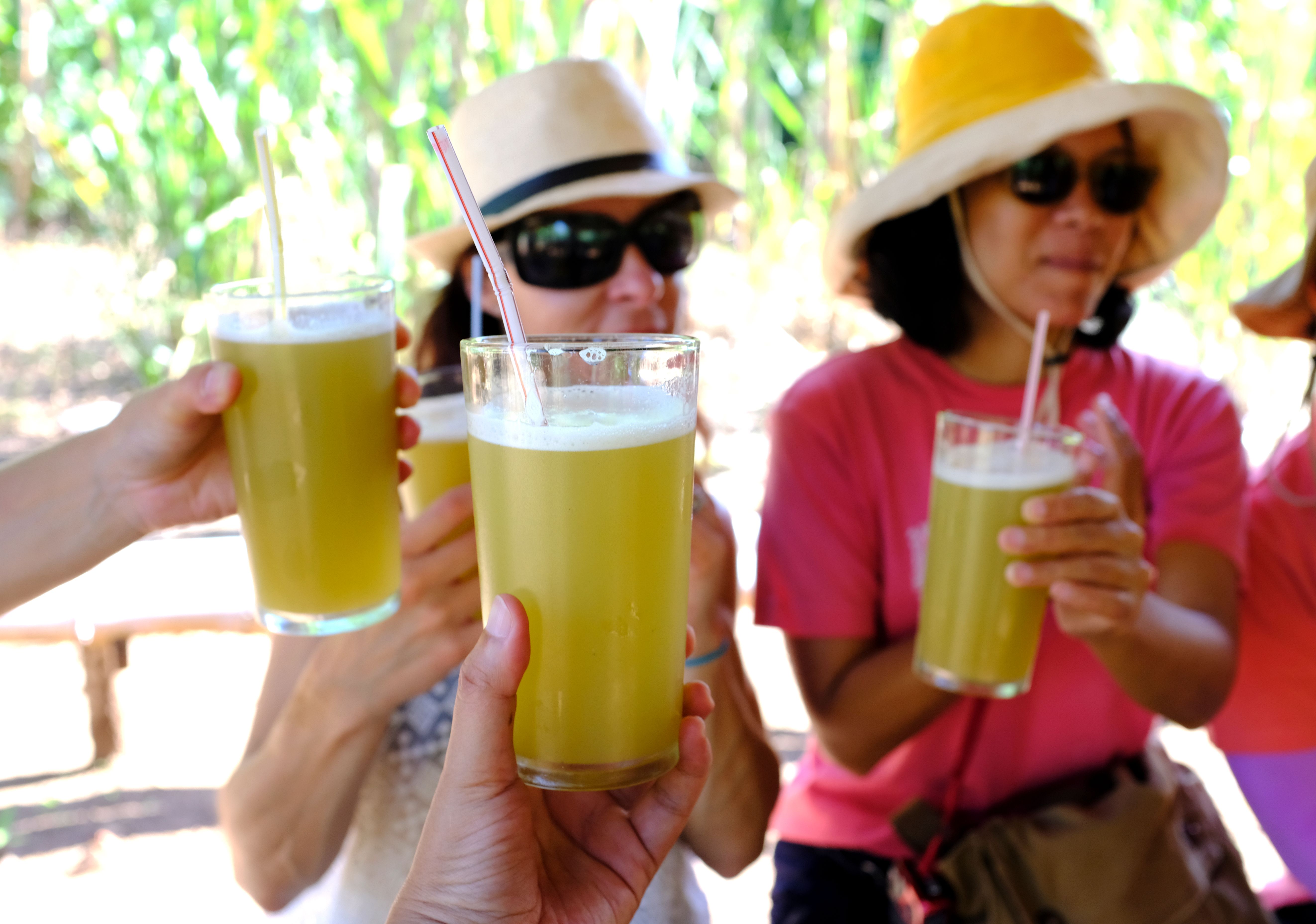 Calories in sugarcane juice - Nutrition Facts Information