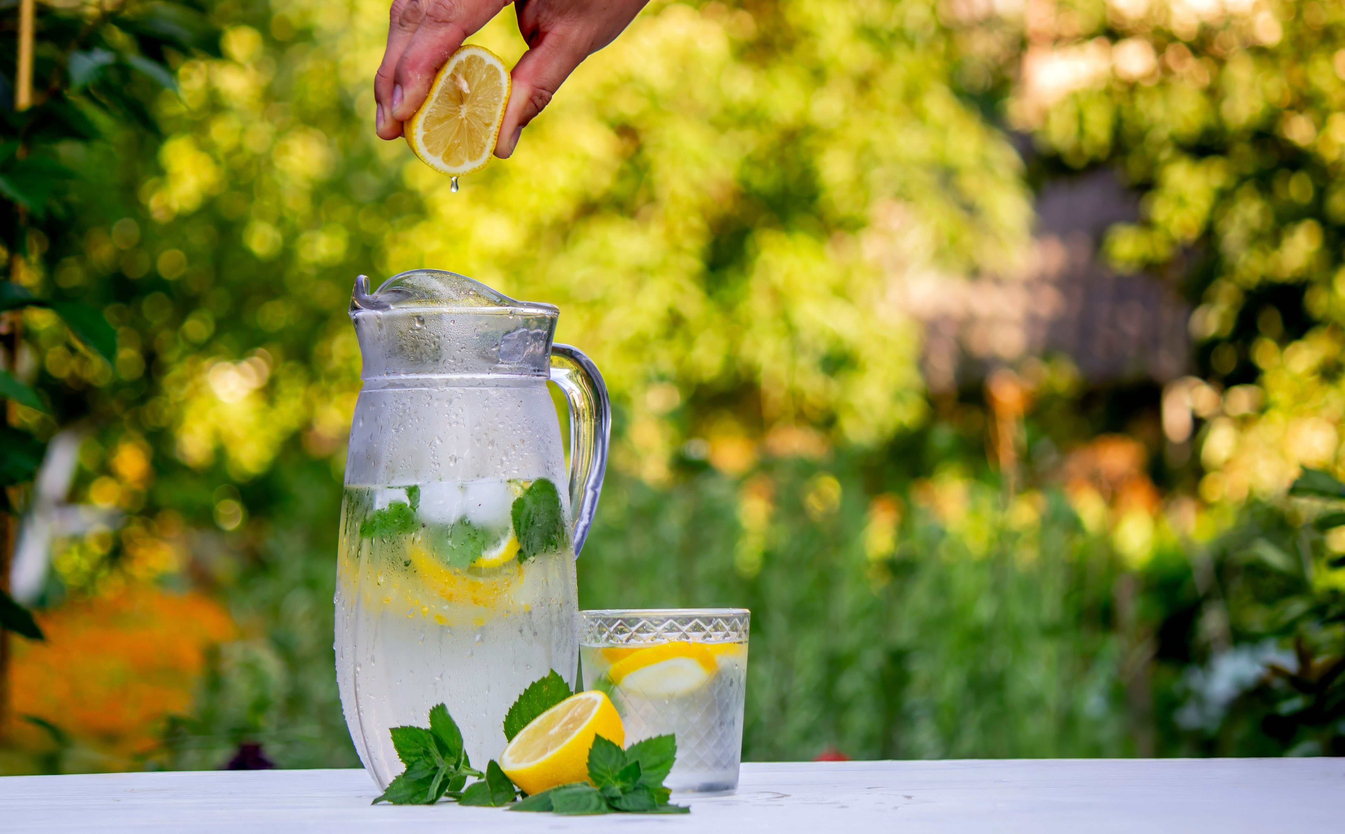 Lemonade fruit Nutrition - Facts Information